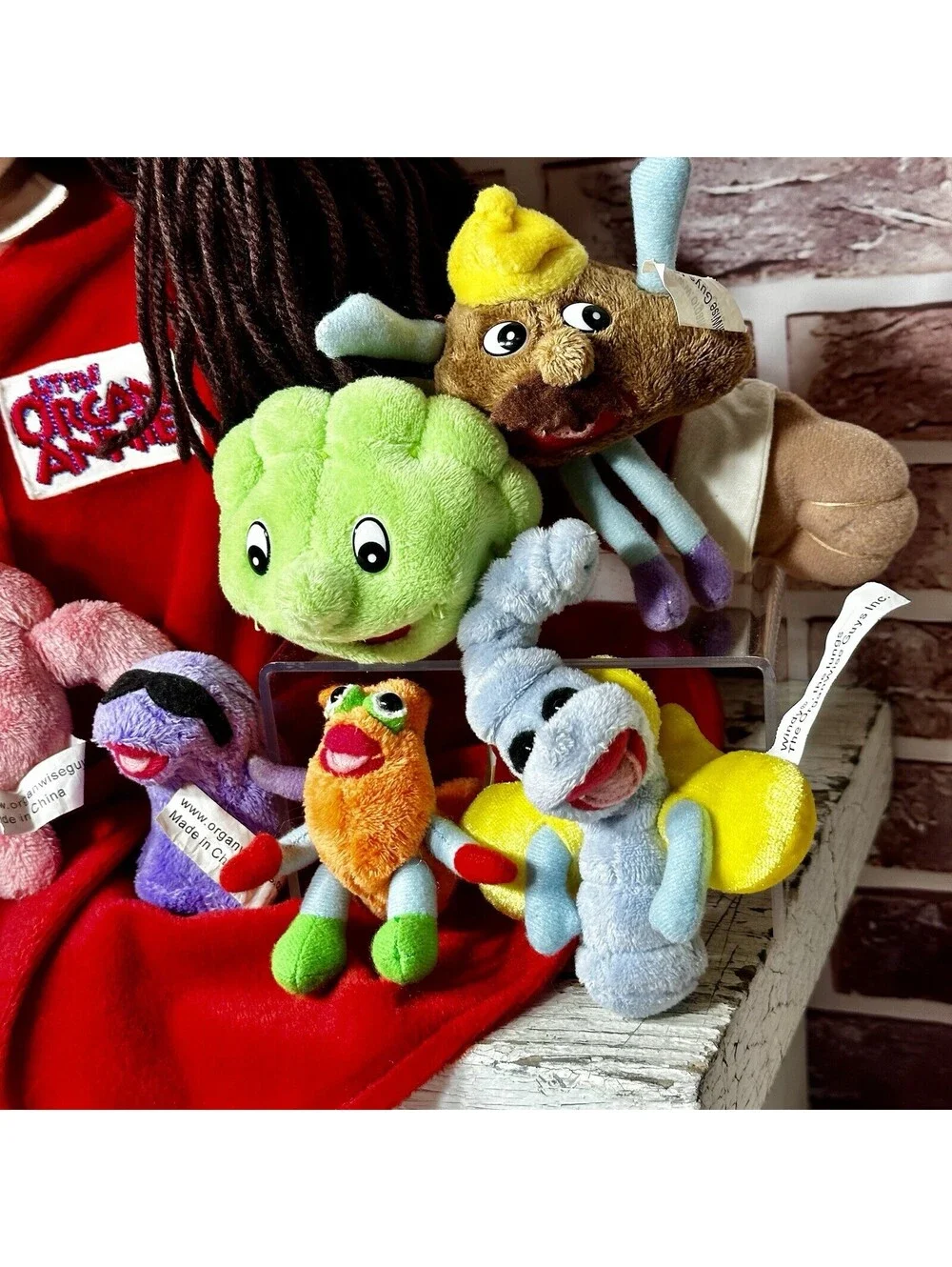 THE ORGAN ANNIE Doll & 9 Organs 21”STEM Learning Homeschool Educational Plush
